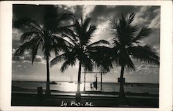 La Paz, BC Baja California Mexico Postcard Postcard Postcard