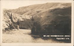 Horseshoe Bend Postcard