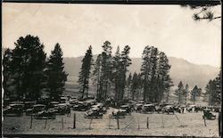 A view of old cars and trees. Postcard Postcard Postcard