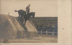 Cavalry Horse Demonstration Postcard