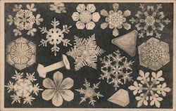 Photo-Micrographs of Snow Crystal By W.A.Bentley Postcard