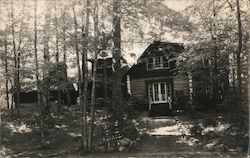 Cabin Surrounded by Trees Postcard