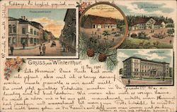 Greetings from Winterthur Switzerland Postcard Postcard Postcard