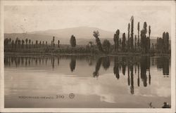 Xochimilco - Mexico Mexico City, Mexico Postcard Postcard Postcard