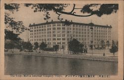 The Tokyo Mariue Insurance Company, Tokyo. Japan Postcard Postcard Postcard