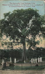 The Surrender Tree in Santiago Cuba Postcard Postcard Postcard