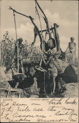 Arab Shadoof (Irrigation Tool) Alexandria, Egypt Africa Postcard Postcard Postcard