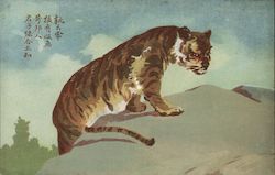 Tiger on a Rock, Woodcut China Postcard Postcard Postcard