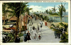 Winter Scene On Promenade, Roney Plaza Hotel Miami Beach, FL Postcard Postcard