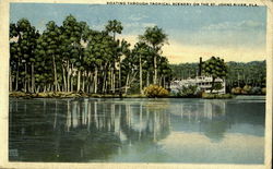 Boating Through Tropical Scenery On The St. Johns River Postcard