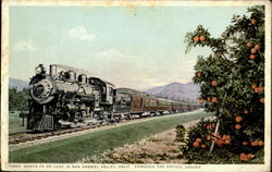 Santa Fe De Luxe In San Gabriel Valley , Calif. Through The Orange Groves Postcard