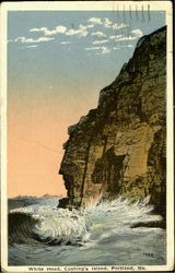 White Head, Cushing'S Island Postcard