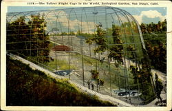 The Tallest Flight Cage in the World, Zoological Garden Postcard