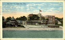 Pine Tree Inn Postcard