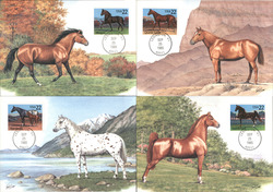 Set of 4: 22c Horses Maximum Cards Postcard Postcard Postcard