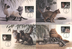 Set of 4: Cats 22c Cat Stamps Maximum Cards Postcard Postcard Postcard