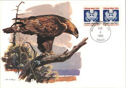 Golden Eagle Postcard