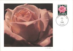 Love, 25c Rose Maximum Cards Postcard Postcard Postcard