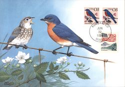 Bluebird Maximum Cards Postcard Postcard Postcard