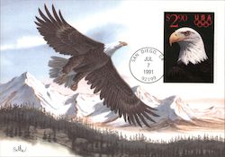 Bald Eagle Postcard