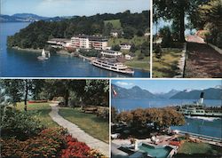 Hotel Hertenstein, Lake Lucerne Postcard