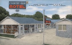 Country Ham Motel Bowling Green, KY Postcard Postcard Postcard