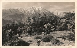 Mt. San Jacinto Postcard