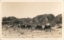 The Prospectors, Imperial Valley Postcard