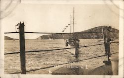 Us Navy Torpedo Destroyer Ships Cy-C Postcard Postcard Postcard