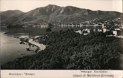 Island of Mytilene Greece Greece, Turkey, Balkan States Postcard Postcard Postcard