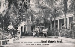 Royal Victoria Hotel Postcard