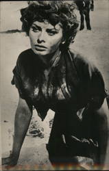 Sophia Loren Postcard