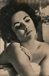 Liz Taylor Actresses Postcard Postcard Postcard