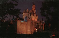 Sleeping Beauty Castle Postcard