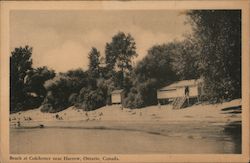 Beach at Colchester Harrow, ON Canada Ontario Postcard Postcard Postcard