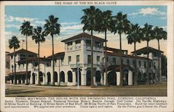 Hotel Maywood, The House with the Swimming Pool Postcard