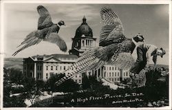 A High Flyer Postcard