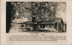 The Nut Tree Vacaville, CA Postcard Postcard Postcard