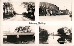 Scenery from Tekonsha, Michigan Postcard Postcard Postcard