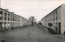 One of the Native Quarters in the Suburbs of the City Luanda, Angola Africa Postcard Postcard Postcard