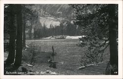 Babcock Lake Yosemite National Park Postcard