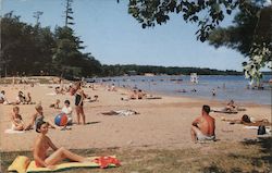 Interlochen State park Postcard