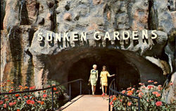 Sunken Gardens St. Petersburg, FL Postcard Postcard