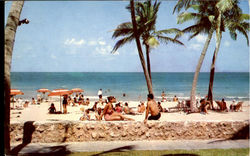 SUN AND SURF BATHING AT SURFSIDE, 71st STREET AND THE OCEAN Miami Beach, FL Postcard Postcard