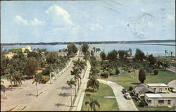 Bradenton Florida Postcard Postcard