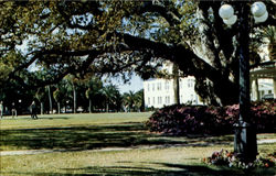 The Belleview Biltmore Hotel Belleair Clearwater, FL Postcard Postcard