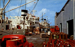 Dock Scene Postcard