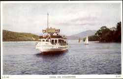 Swan on Windermere Postcard