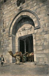 David's Gate Postcard