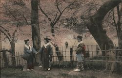 Geisha Standing Outdoors in Front of Cherry Blossom Trees Japan Postcard Postcard Postcard